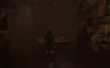 wk_screen - shadow of the tomb raider (48).jpg